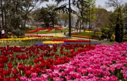 Eжегоден фестивал на лалето в Истанбул в хотел Ilkbal Deluxe Hotel 4* с басейн + БОНУСИ