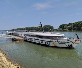 CRUCEVITA SHIP