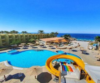 Palm Beach Resort Standard